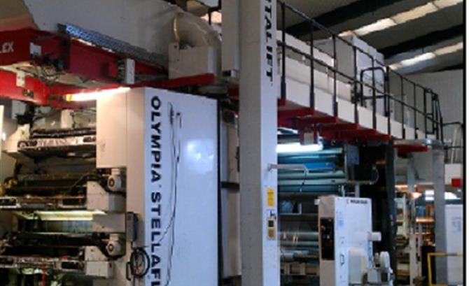 OLYMPIA STELLAFLEX 8